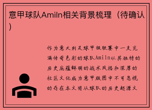 意甲球队Amiln相关背景梳理（待确认）